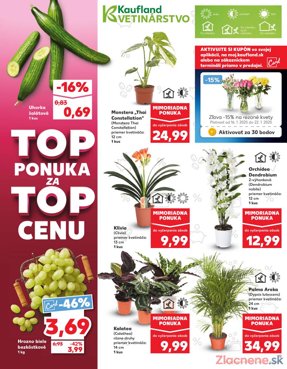 Leták Kaufland - Kaufland 16.1. - 22.1. - Kaufland Tvrdošín - strana 9