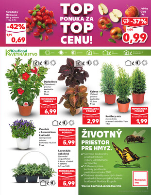 Kaufland 15.5. - 21.5. - Kaufland Martin
