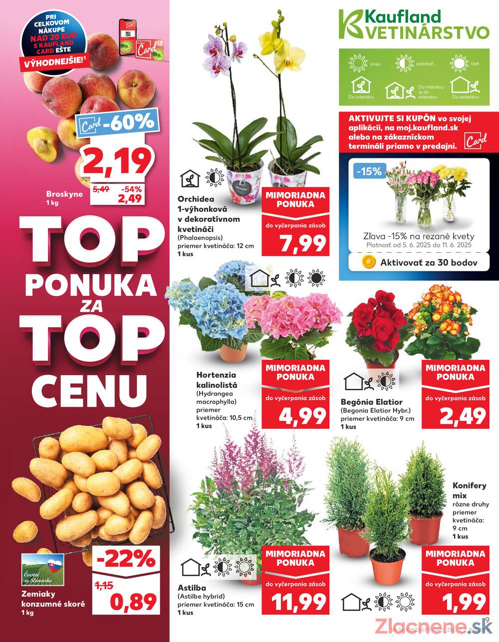 Leták Kaufland - Kaufland 5.6. - 11.6. - Kaufland Bratislava - Avion (Ivanská cesta) - strana 9