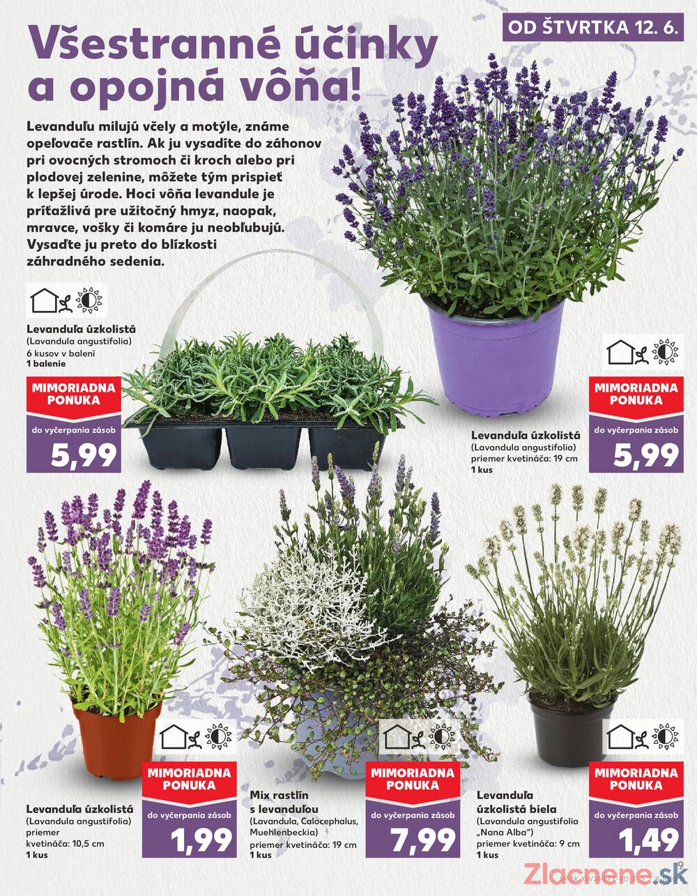 Leták Kaufland - Kaufland 12.6. - 18.6. - Kaufland Humenné - strana 9