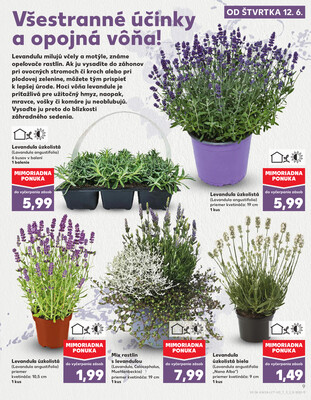 Kaufland 12.6. - 18.6. - Kaufland Púchov