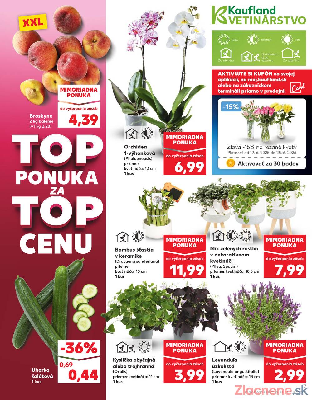 Leták Kaufland - Kaufland 19.6. - 25.6. - Kaufland  Bratislava - Zahorska Bystrica - strana 7