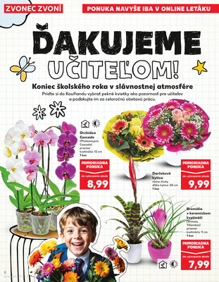 Kaufland 26.6. - 2.7. - Kaufland Poprad - Jiřího Wolkera