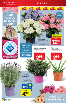 Leták Lidl
		  platný do 6.7.2025 - strana 70