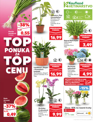 Leták Kaufland
		  platný do 9.7.2025 - strana 7