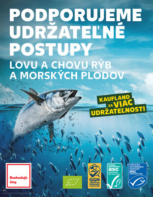 Kaufland 31.7. - 6.8. - Kaufland Nitra - Čermáň