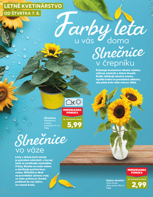 Kaufland 7.8. - 13.8. - Kaufland Michalovce
