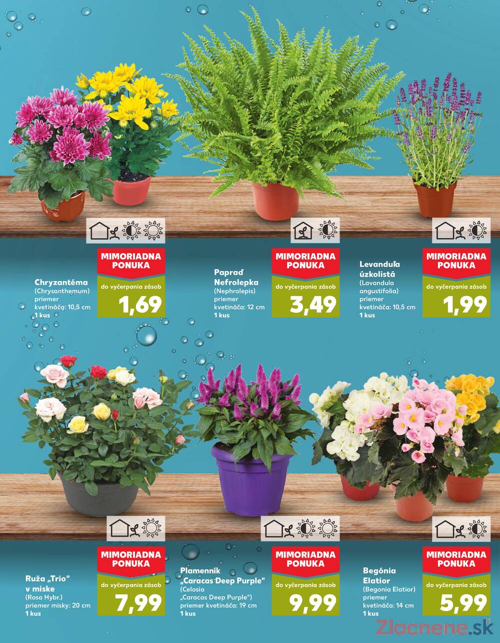 Leták Kaufland - Kaufland 7.8. - 13.8. - Kaufland Hlohovec - strana 11