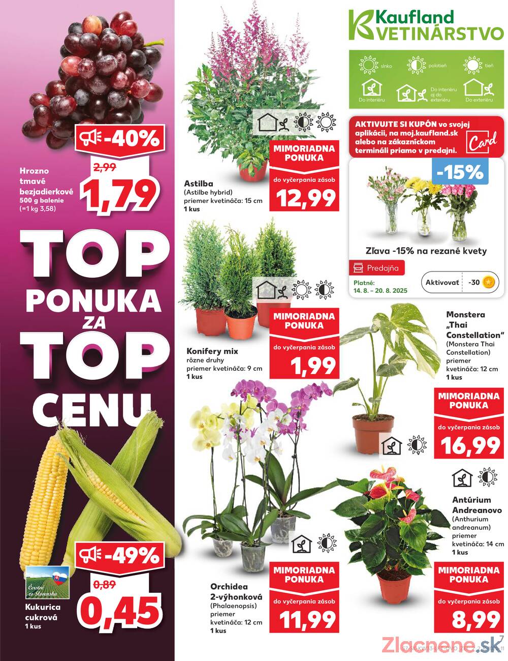 Leták Kaufland - Kaufland 14.8. - 20.8. - Kaufland Dolný Kubín - strana 7