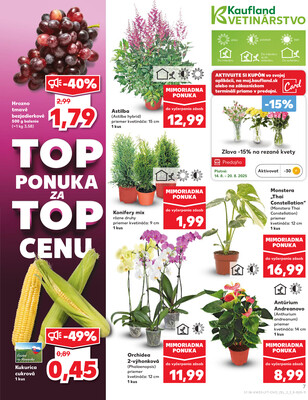 Kaufland 14.8. - 20.8. - Bratislava-Patrónka