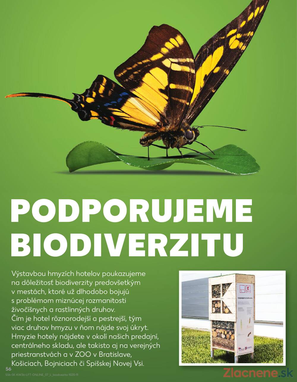 Leták Kaufland - Kaufland 4.9. - 10.9. - Kaufland Dunajská Streda - strana 56