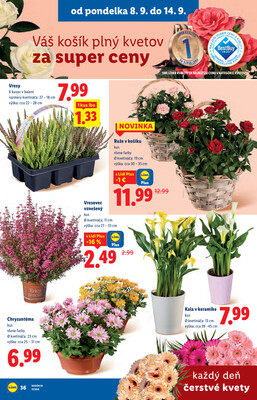 Leták Lidl
		  platný do 14.9.2025 - strana 46