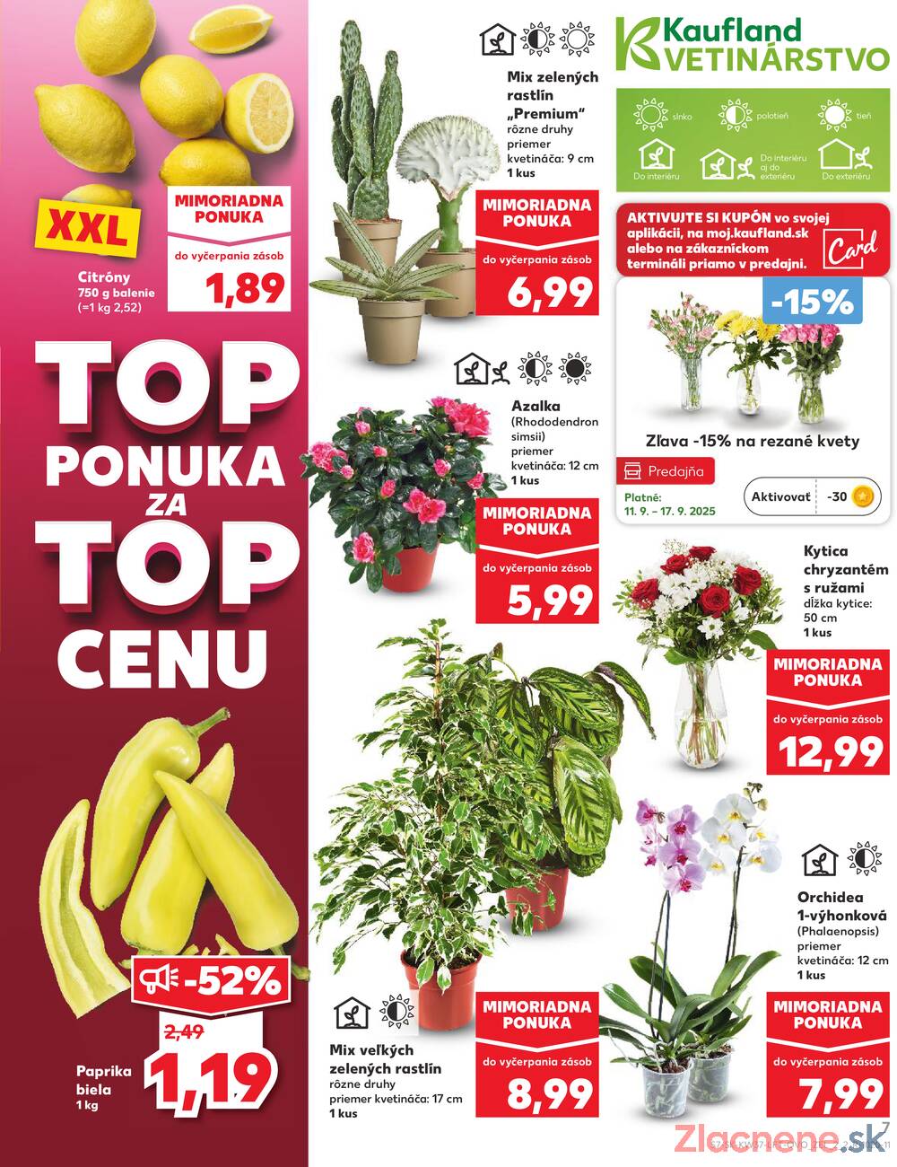 Leták Kaufland - Kaufland 11.9. - 17.9. - Kaufland Detva - strana 7