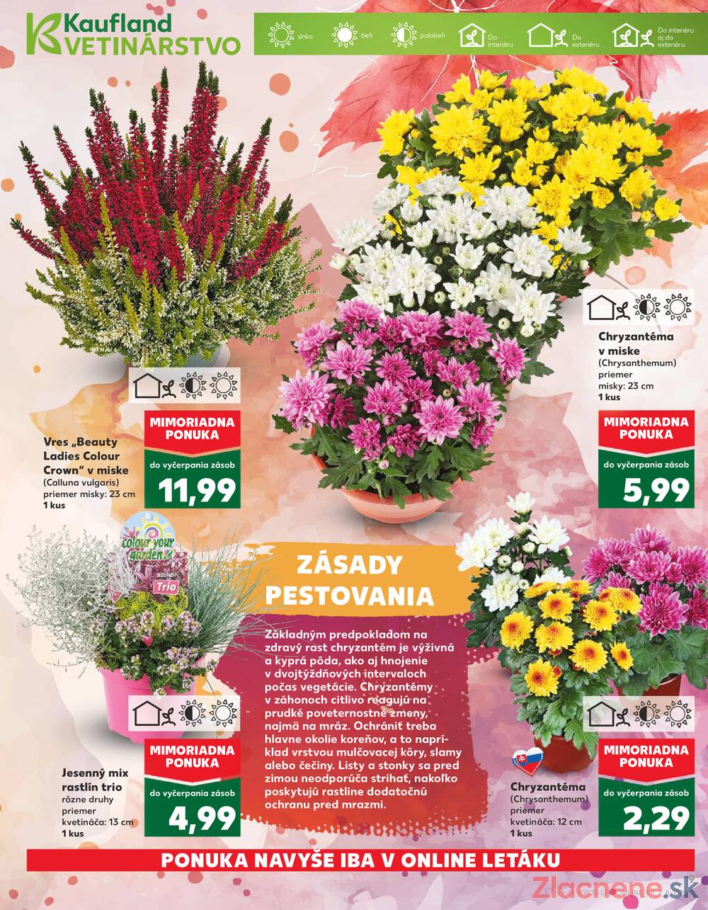 Leták Kaufland - Kaufland 11.9. - 17.9. - Kaufland Sabinov - strana 9
