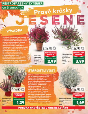 Kaufland 11.9. - 17.9. - Kaufland Prešov - Ľubotice