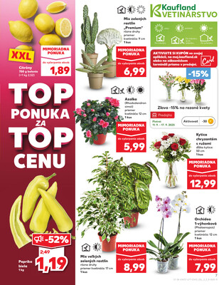 Kaufland 11.9. - 17.9. - Kaufland Martin