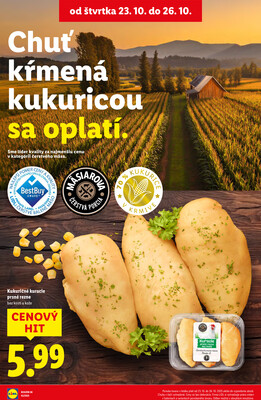 Leták Lidl
		  platný do 26.10.2025 - strana 73