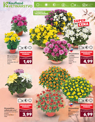 Kaufland 23.10. - 29.10. - Kaufland Detva