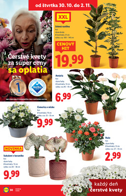 Leták Lidl
		  platný do 2.11.2025 - strana 77