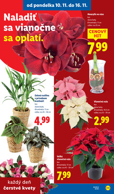 Leták Lidl
platný do 16.11.2025 - strana 47