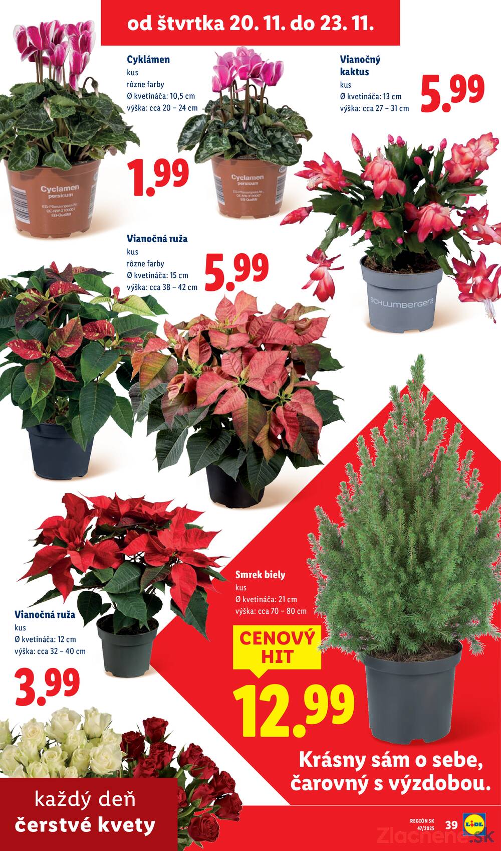 Leták Lidl
		  platný do 23.11.2025 - strana 81