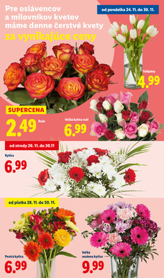 Leták Lidl
		  platný do 30.11.2025 - strana 76