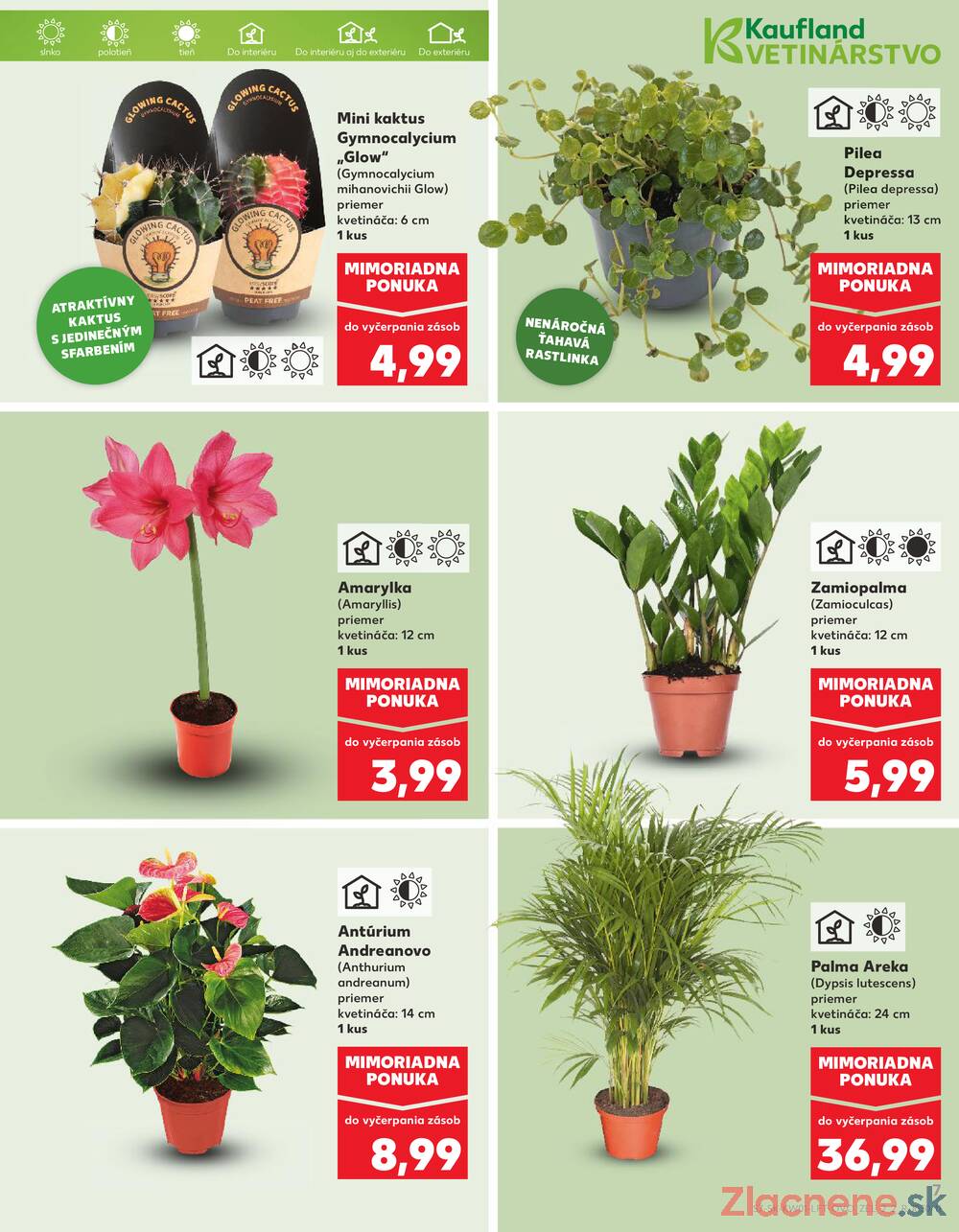 Leták Kaufland - Kaufland 2.1. - 7.1. - Kaufland Zlaté Moravce - strana 7