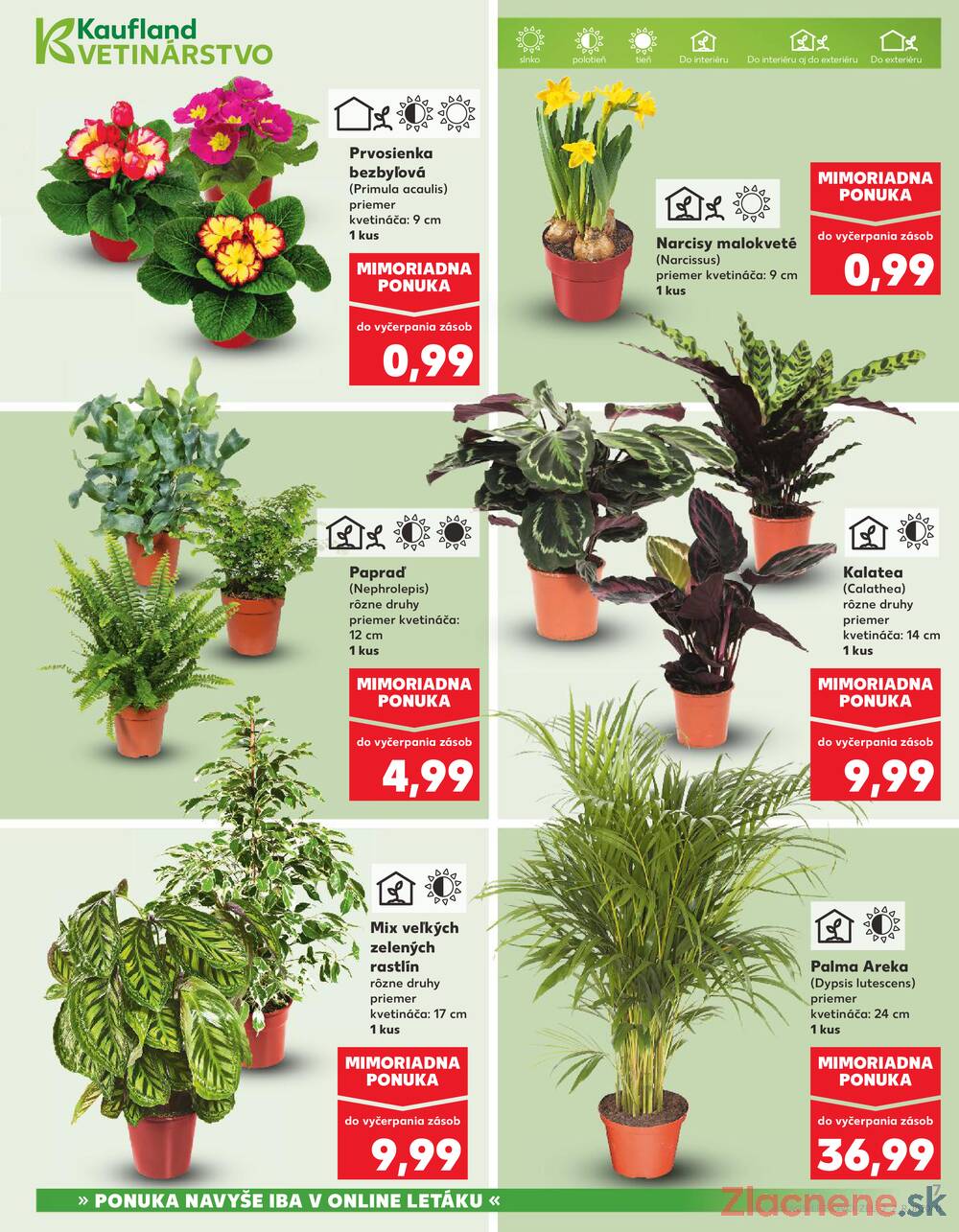 Leták Kaufland - Kaufland 29.1. - 4.2. - Kaufland Lučenec - strana 7
