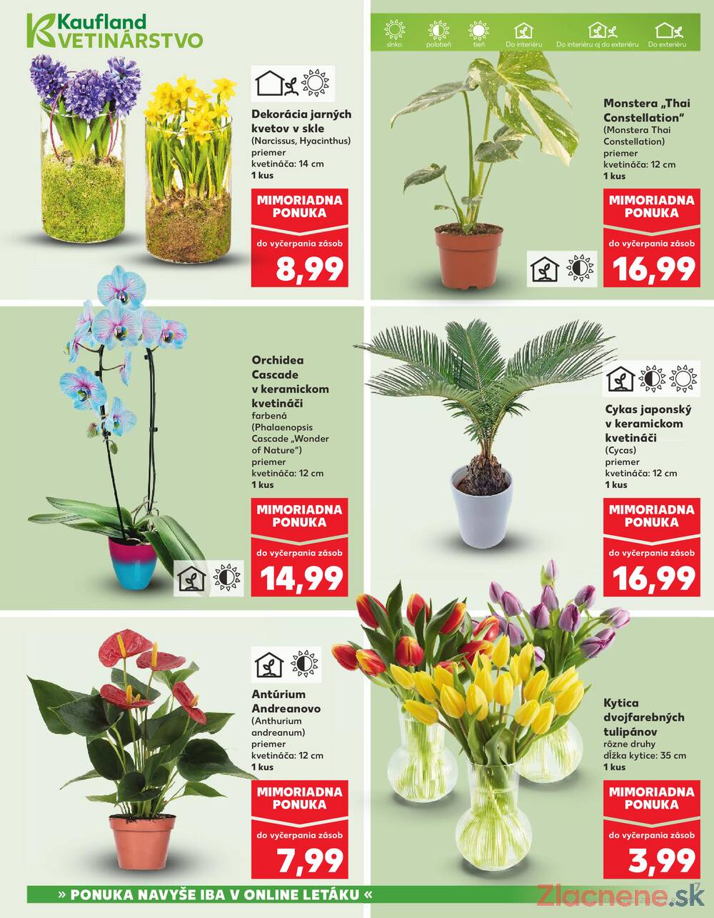 Kaufland 5.2. - 11.2. - Kaufland Detva