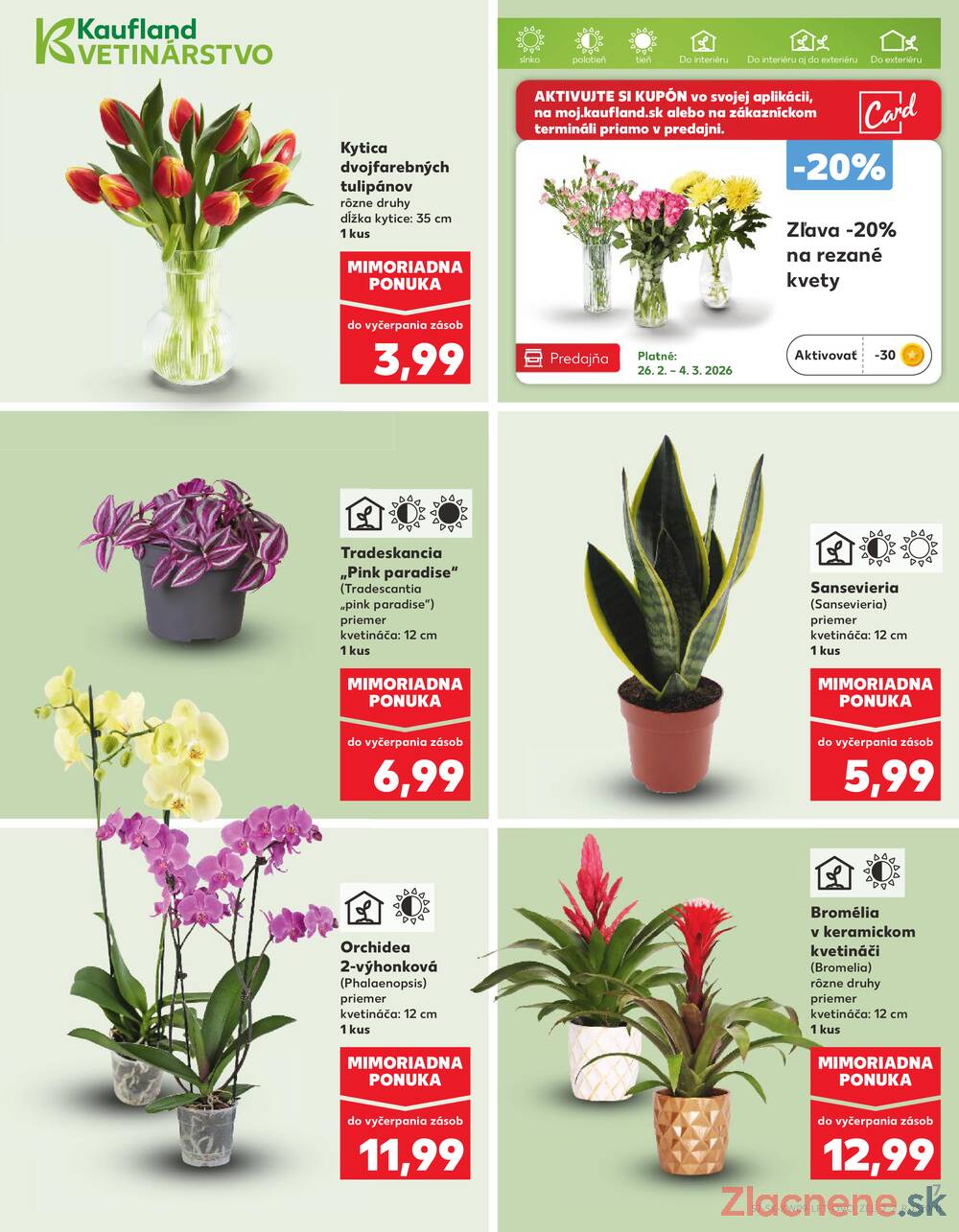 Kaufland 26.2. - 4.3. - Kaufland Martin-Podhaj