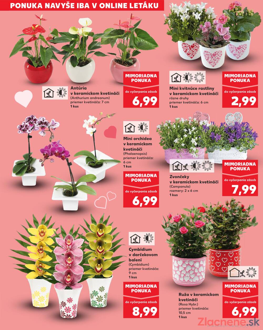 Kaufland 5.3. - 11.3. - Kaufland Spišská Nová Ves