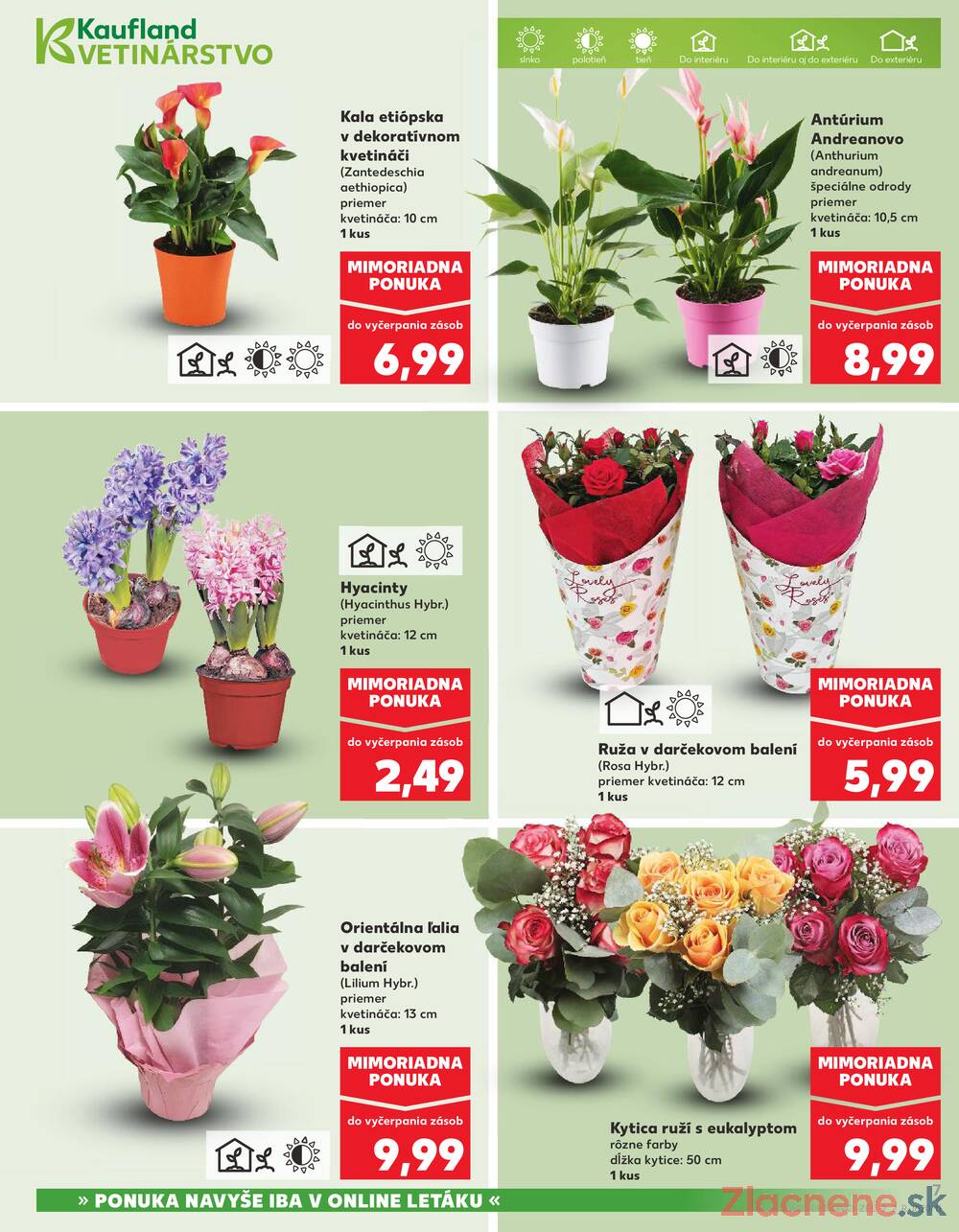 Kaufland 5.3. - 11.3. - Kaufland Martin-Podhaj