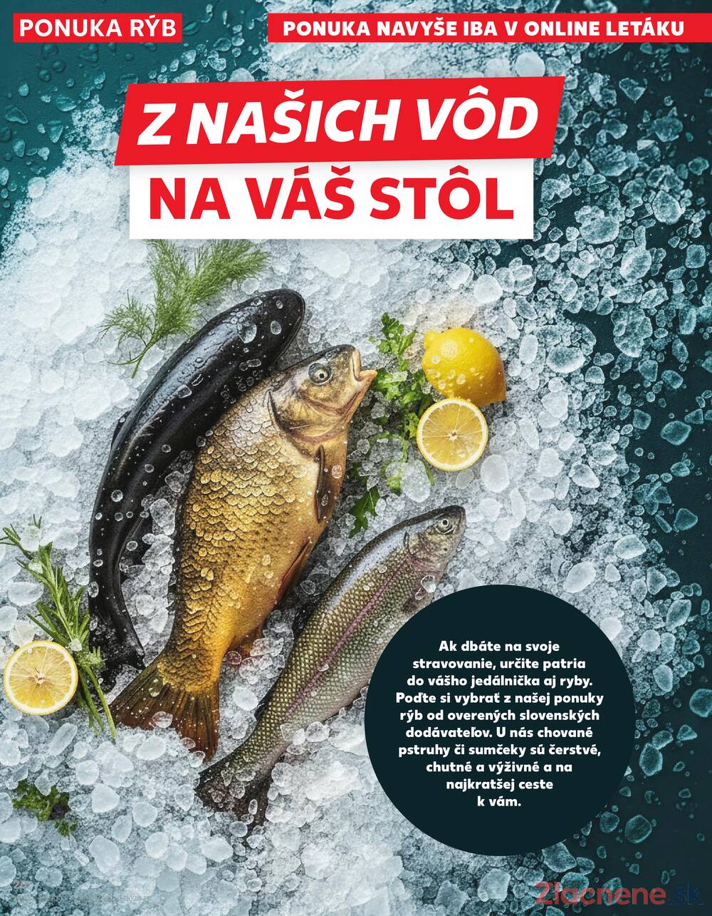Kaufland 5.3. - 11.3. - Kaufland Martin-Podhaj