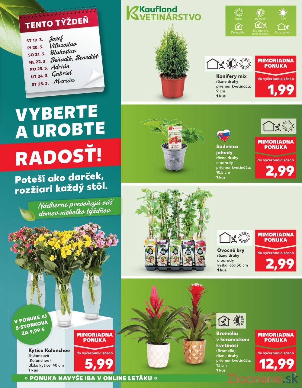 Leták Kaufland - Kaufland 19.3. - 25.3. - Kaufland Michalovce (Humenská cesta) - strana 7