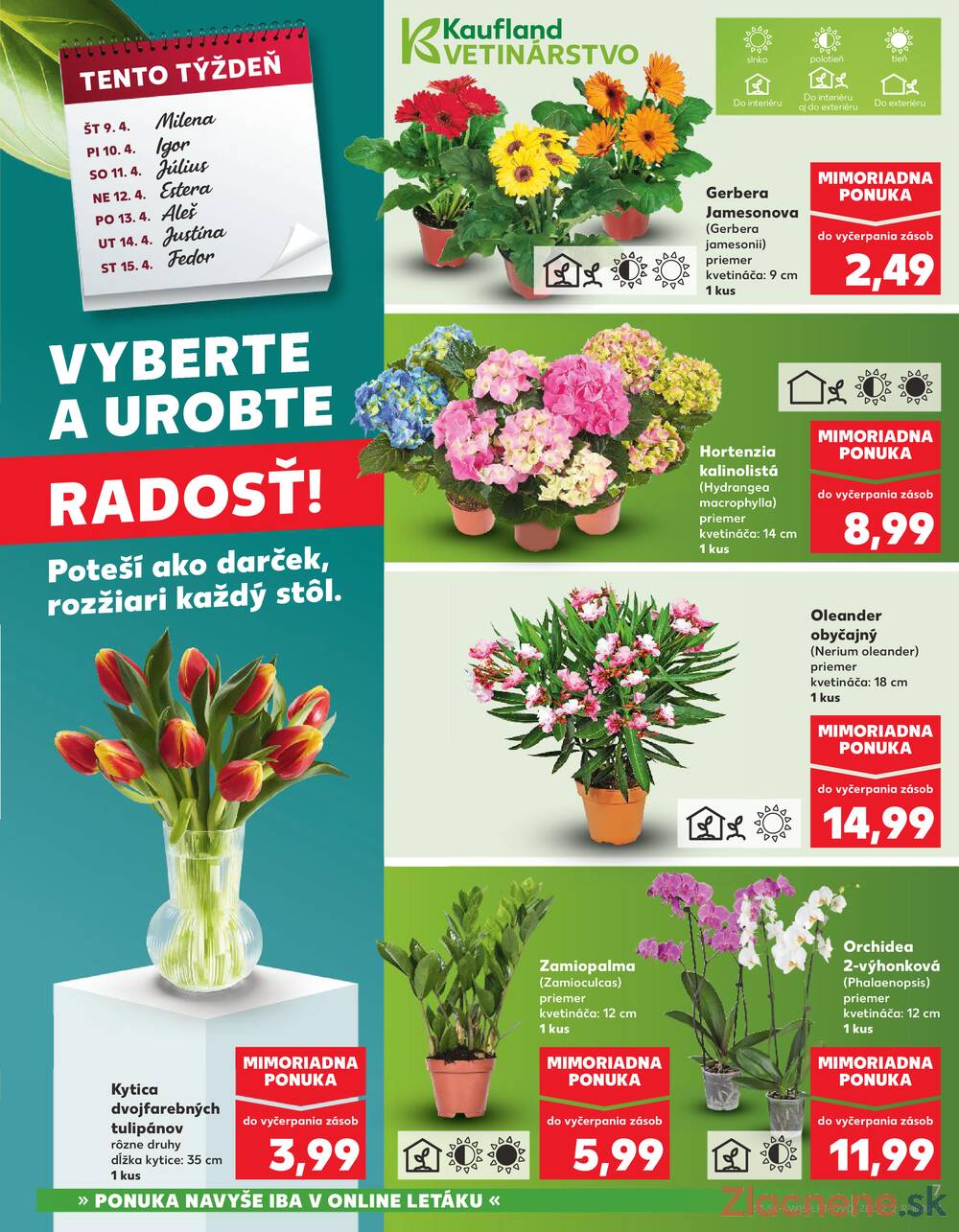 Kaufland 9.4. - 15.4. - Kaufland Michalovce