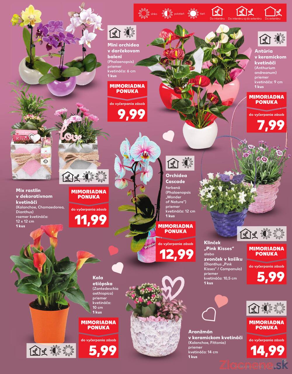 Kaufland 7.5. - 13.5. - Kaufland Trebišov