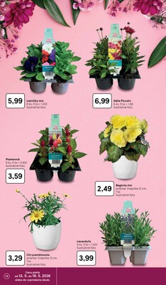 Tesco supermarkety od 13.5. do 19.5.2026