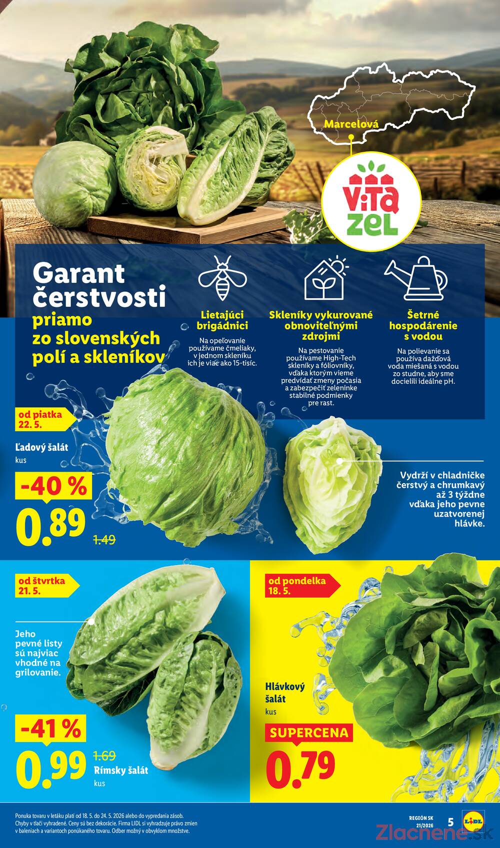 Leták Lidl - Lidl 18.5. - 24.5. - strana 5