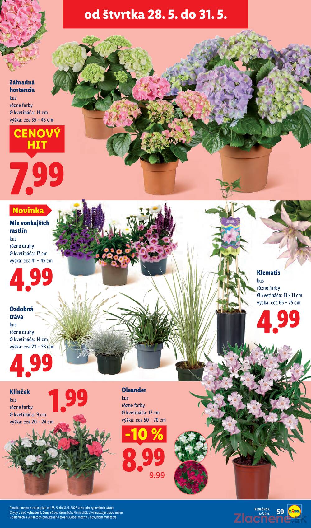 Lidl do 31.5.