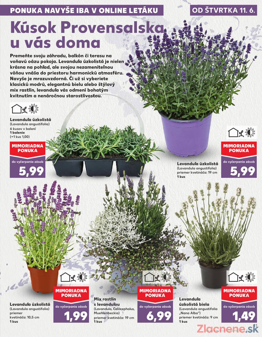 Kaufland 11.6. - 17.6. - Kaufland Dubnica nad Váhom