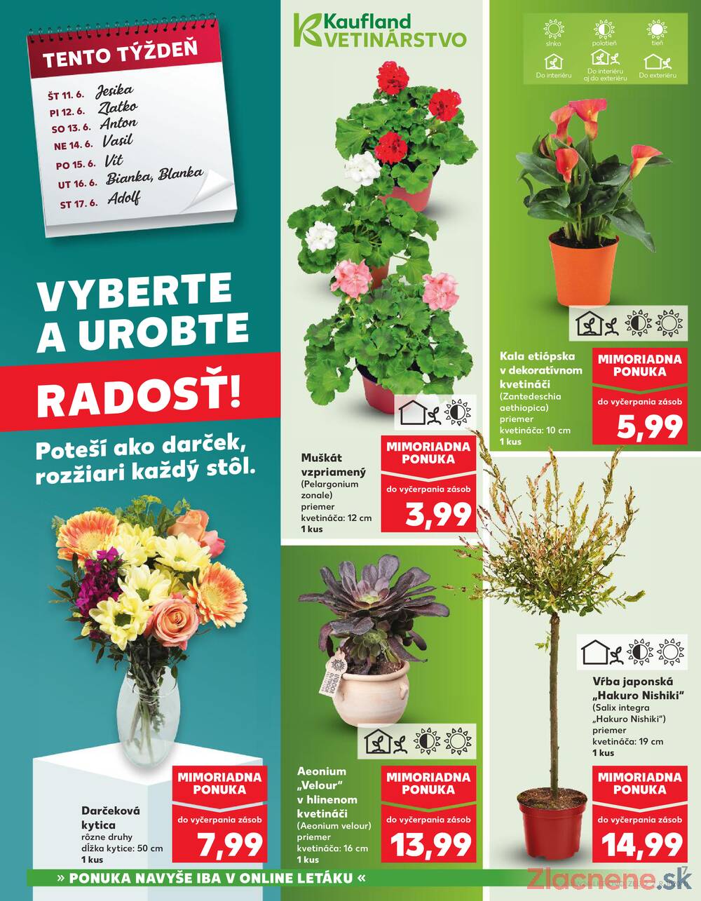 Leták Kaufland - Kaufland 11.6. - 17.6. - Kaufland Trebišov - strana 7