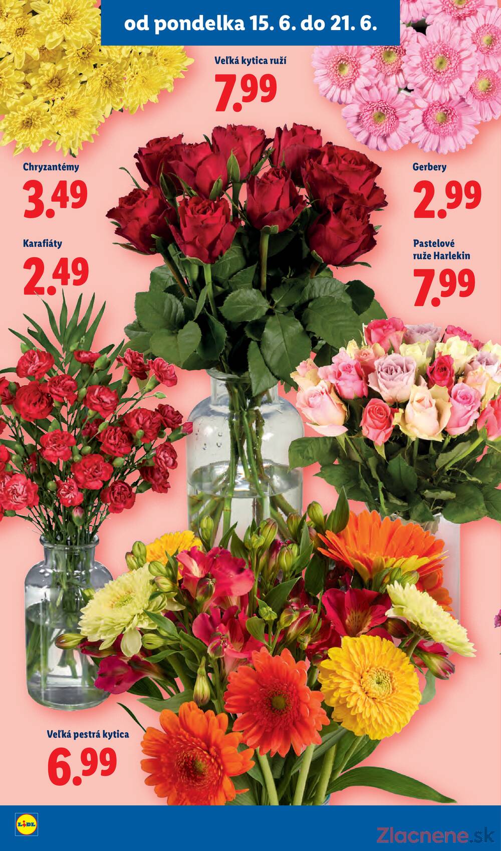 Lidl do 21.6.