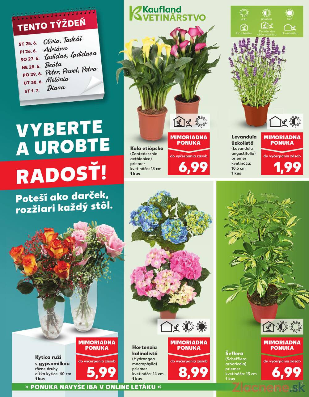 Kaufland 25.6. - 1.7. - Kaufland Považská Bystrica - Centrum