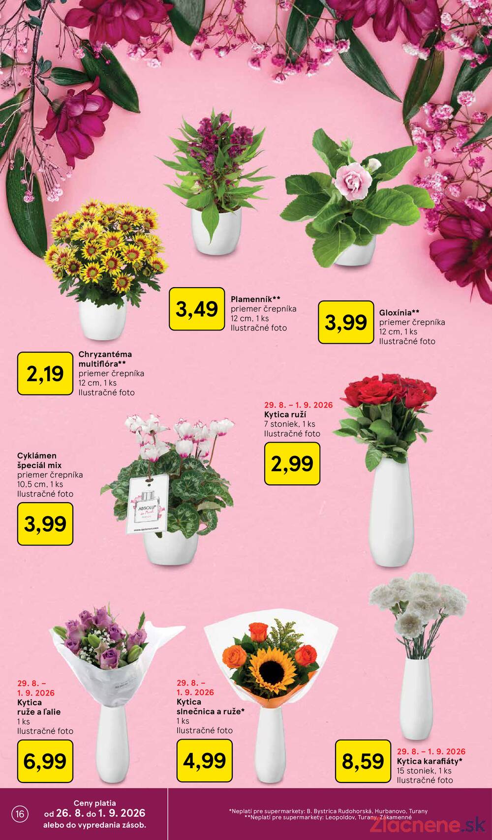 Tesco supermarkety od 26.8. do 1.9.2026