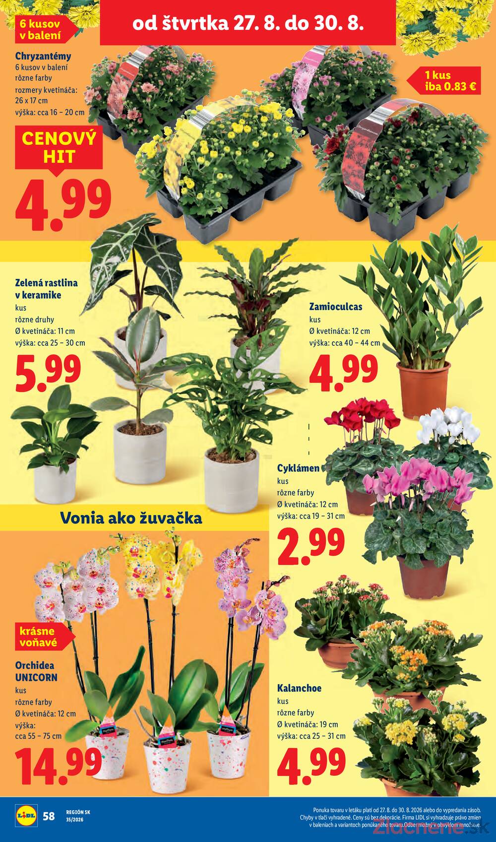 Lidl do 30.8.