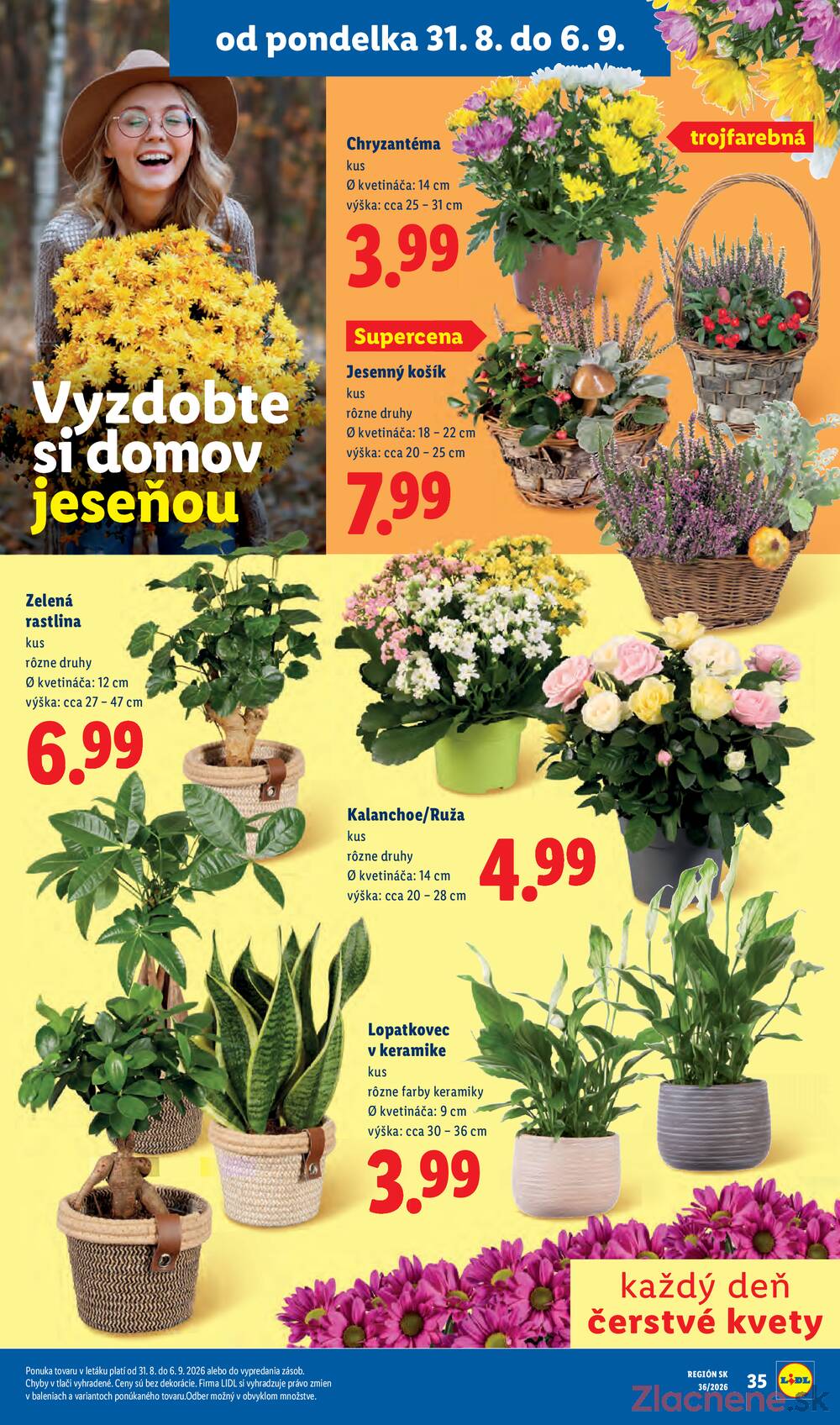 Lidl do 6.9.