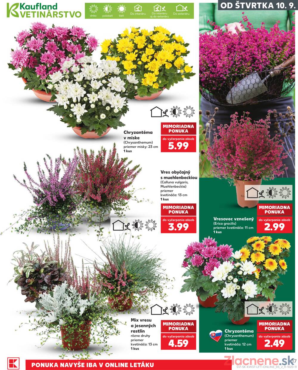Kaufland 10.9. - 16.9. - Kaufland Martin-Podhaj