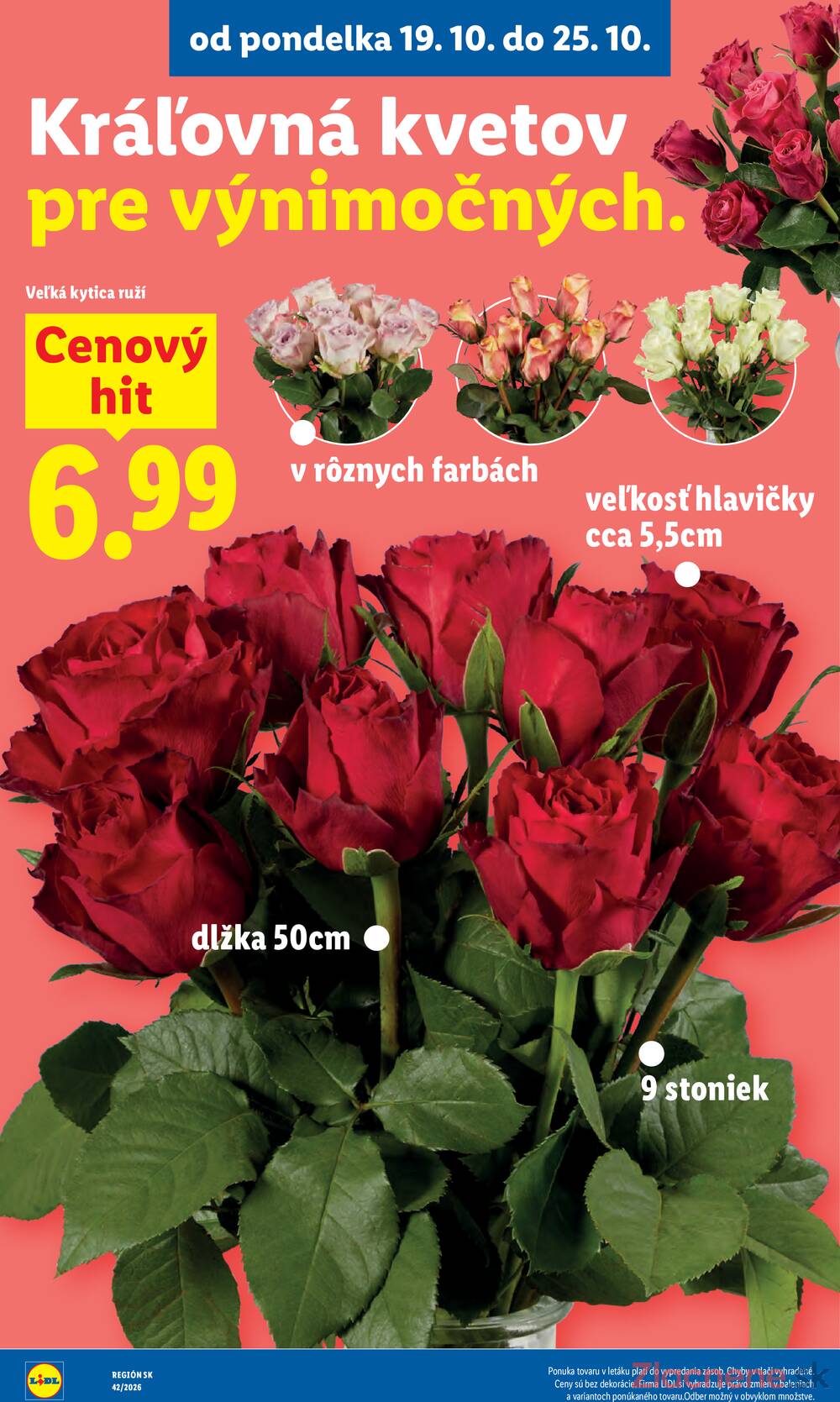 Lidl 19.10. - 25.10.