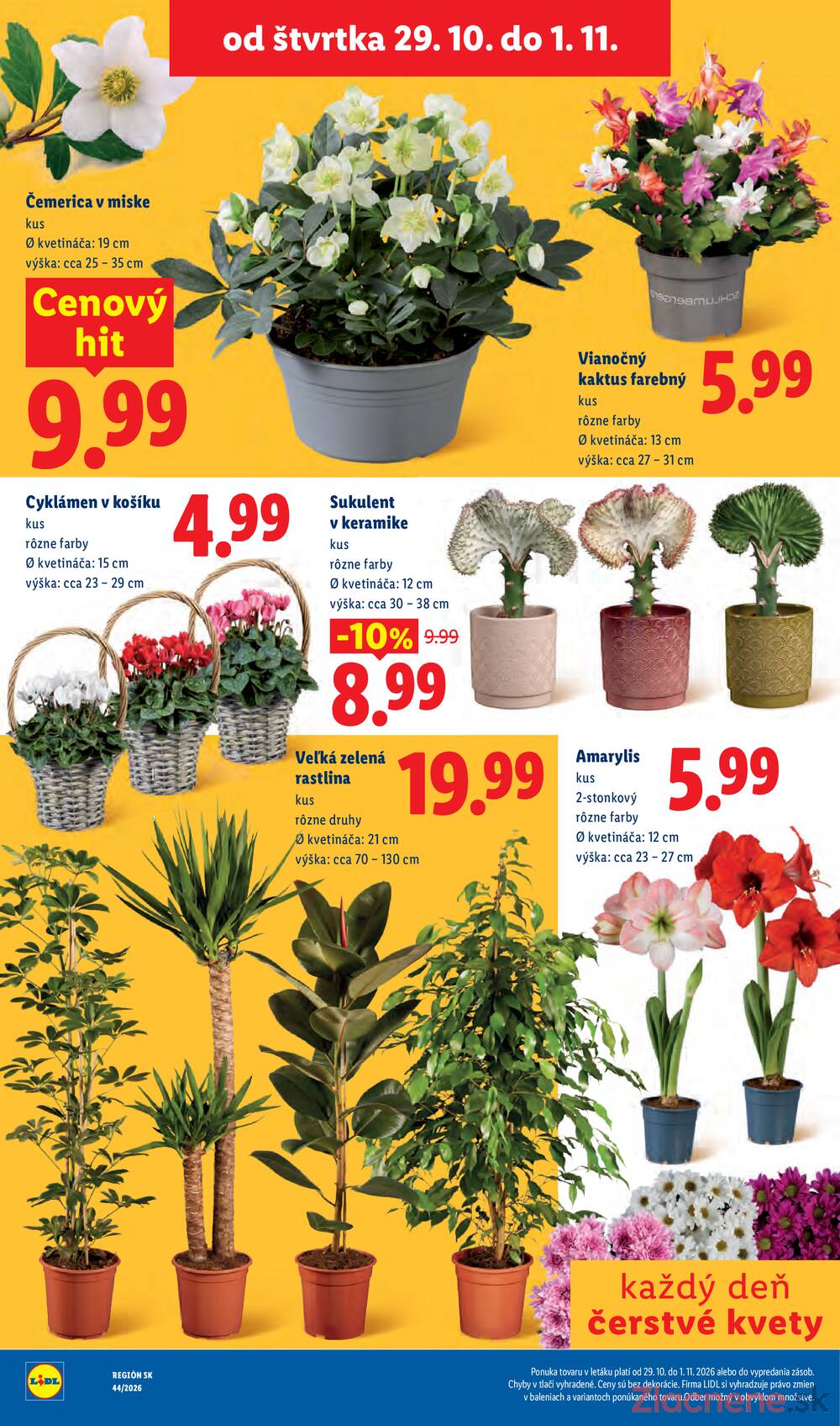 Lidl 26.10. - 1.11.