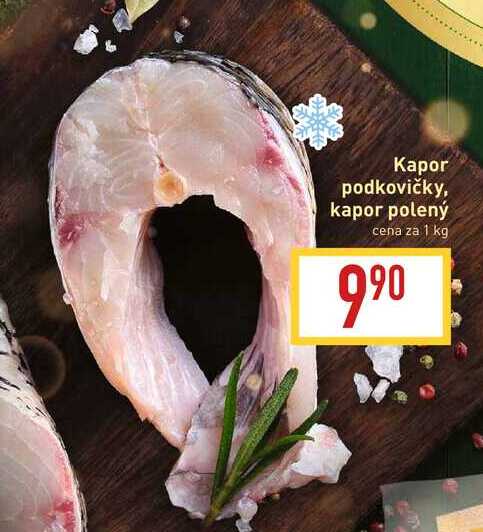 Kapor podkovičky / polený 1 kg
